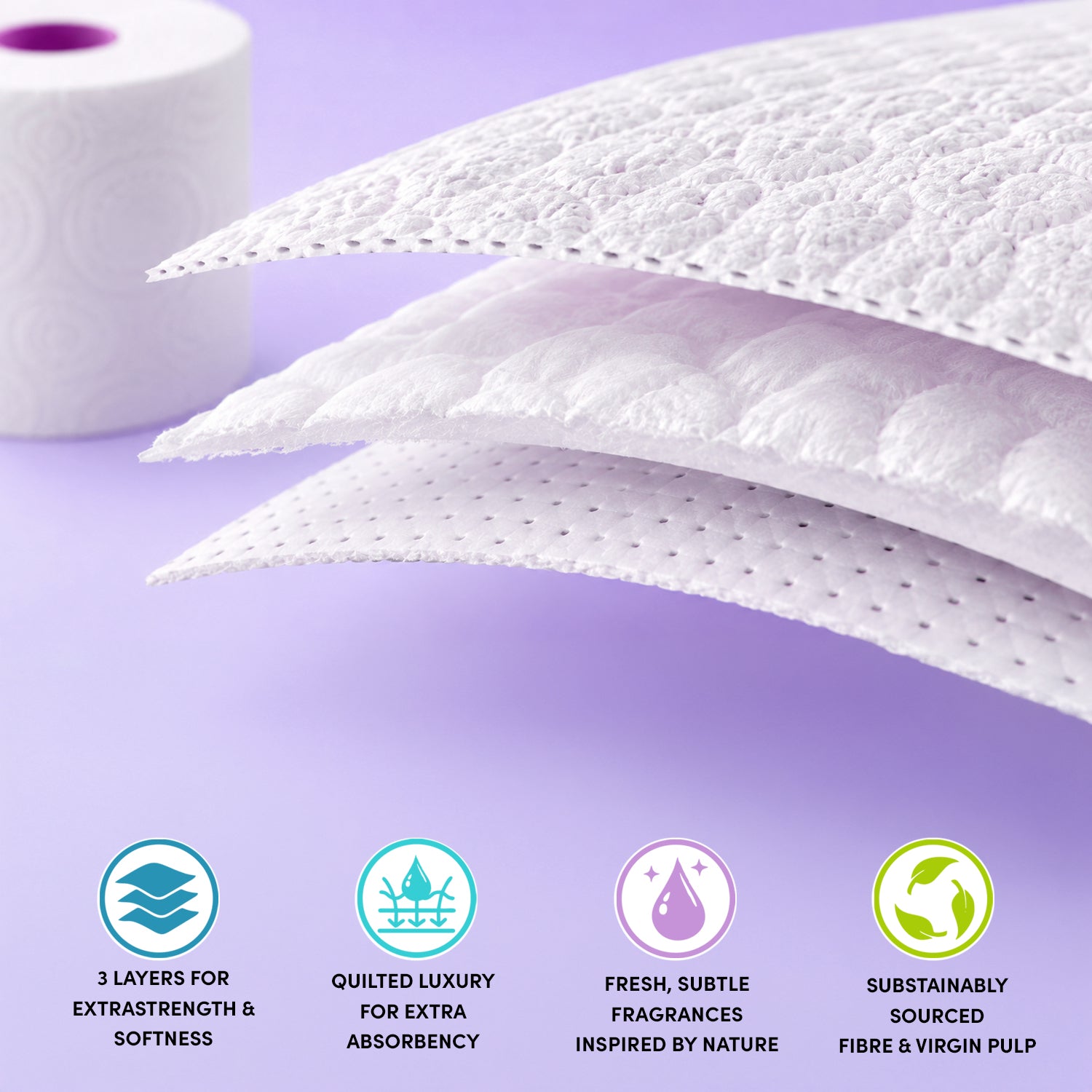 Splesh 3ply toilet paper rolls