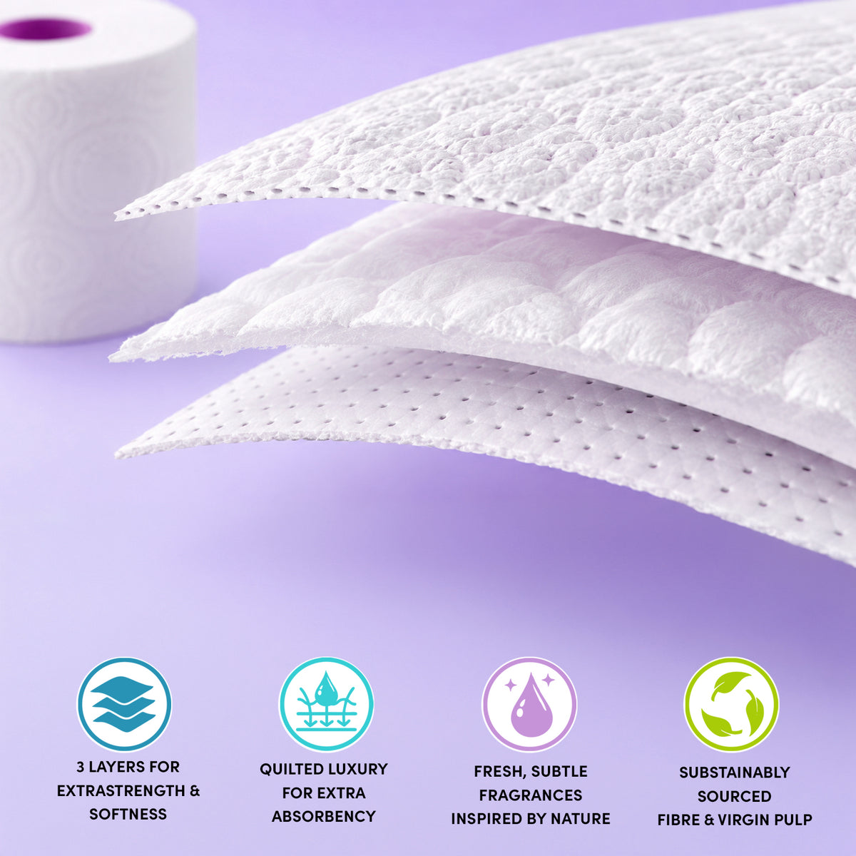 Splesh 3ply toilet paper rolls