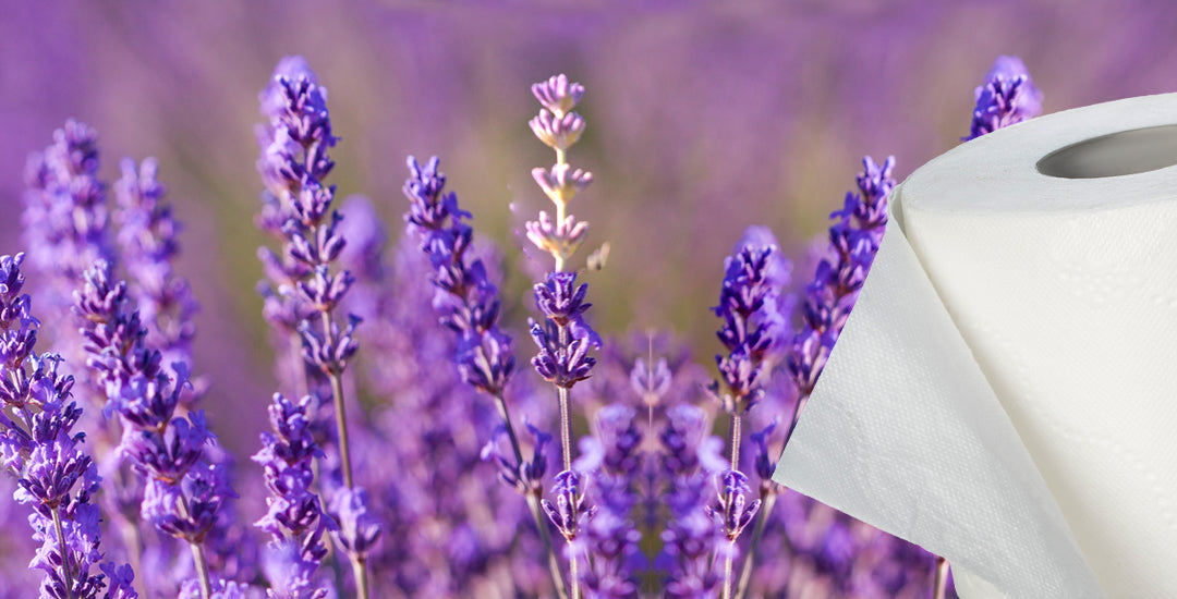 Splesh toilet roll lavender