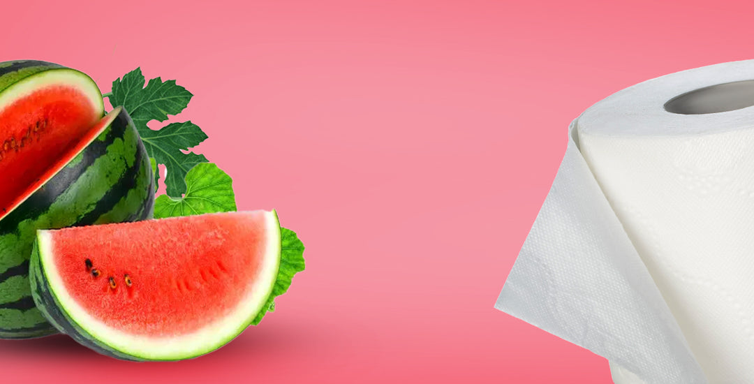 Splesh toilet roll watermellon