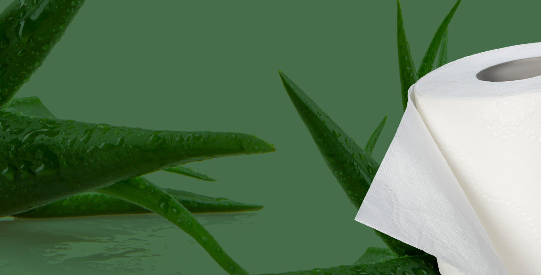 white paper towel with aloe vera