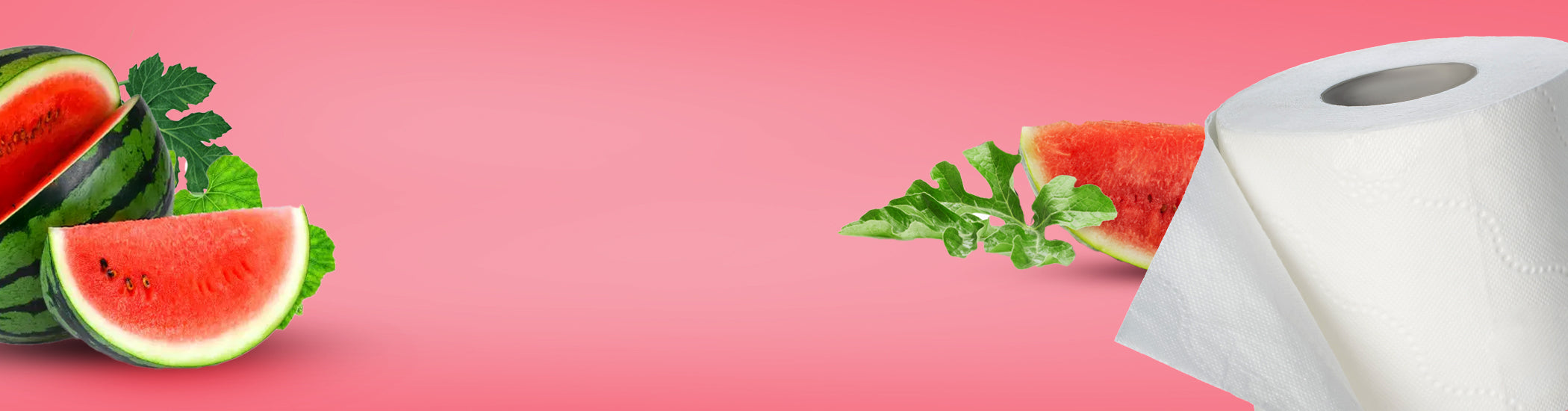 Splesh toilet roll watermellon